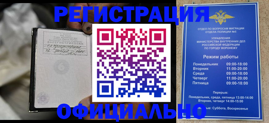 где прописаться в Болотном